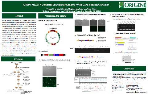 AACR 2019 KN2.0 Poster